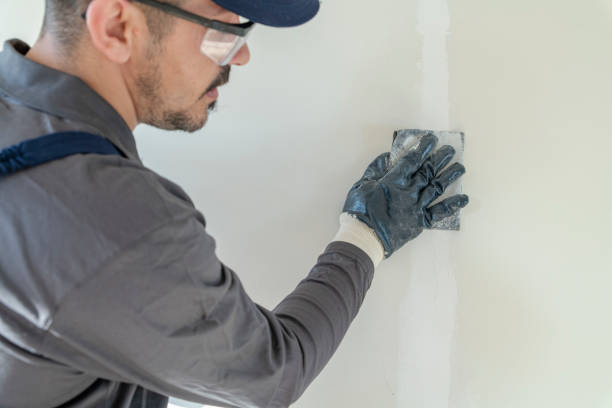 Professional Painting & Drywall Services in Roxana, IL